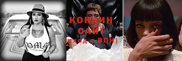 дживик Богородицк