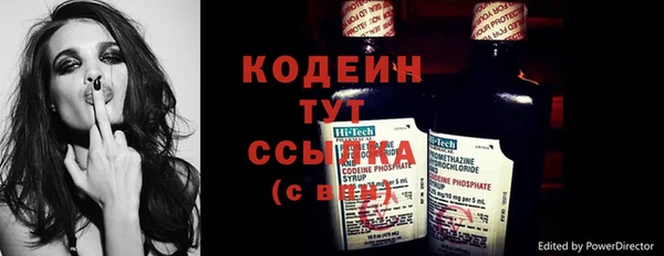 стаф Богданович