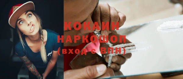стаф Богданович