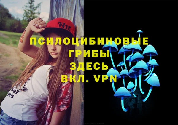 дживик Богородицк