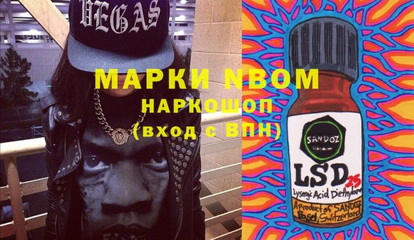 дживик Богородицк