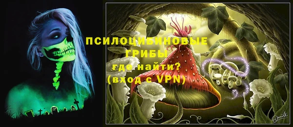 дживик Богородицк