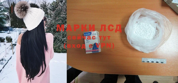 стаф Богородск
