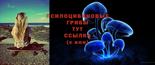 стаф Богданович